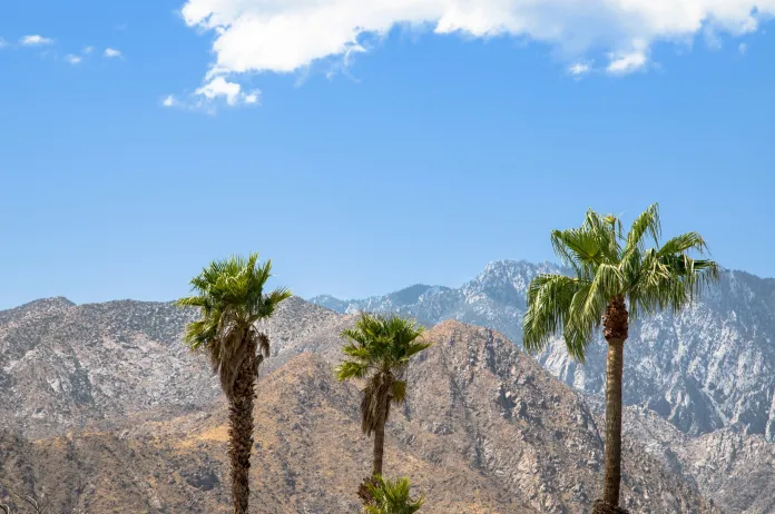 Palm Springs