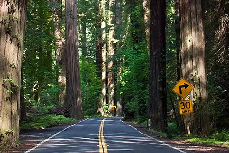 Roadtrip