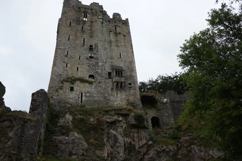 Ireland castle