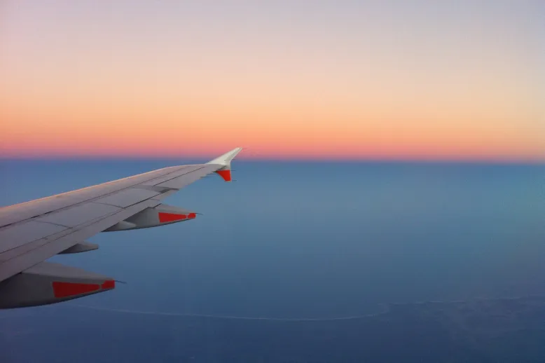 Plane wing