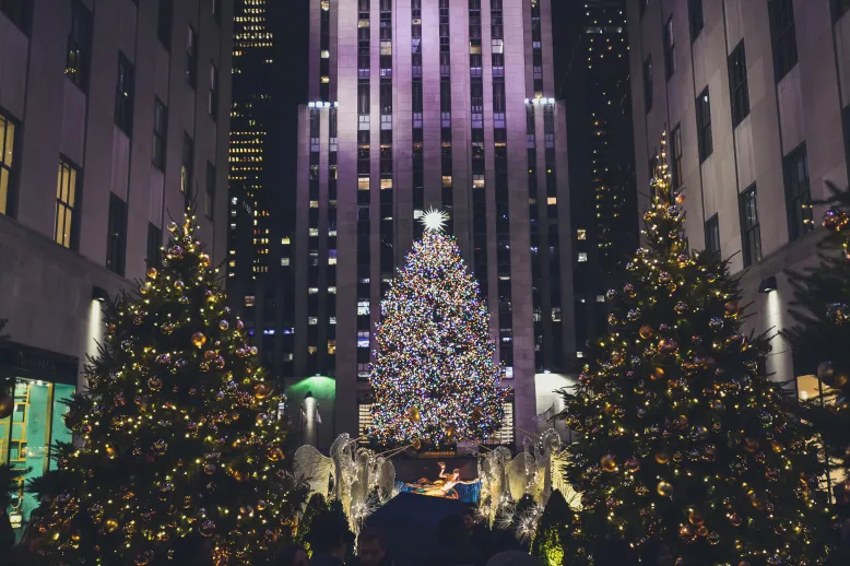 Christmas trees