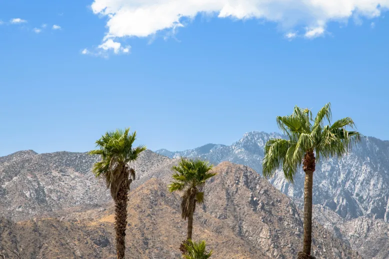 Palm Springs