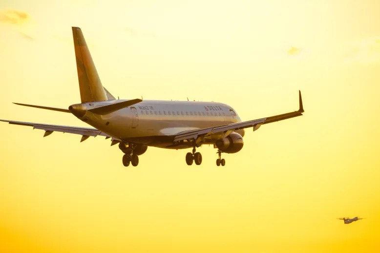 Delta plane