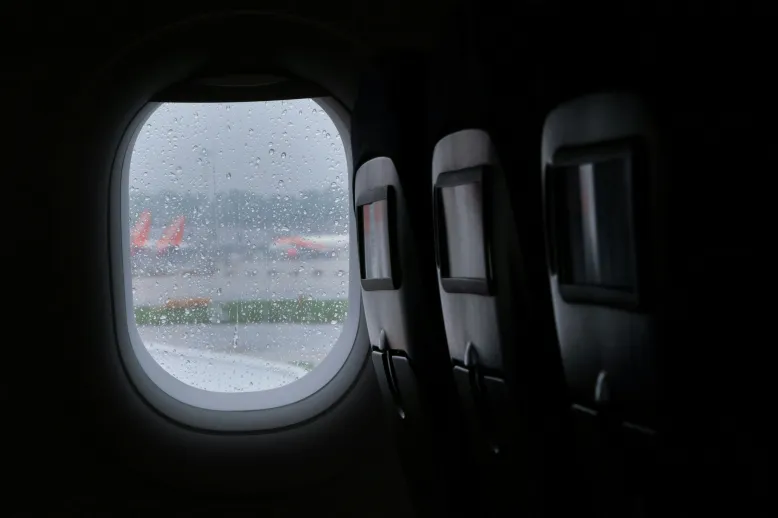 Rainy window