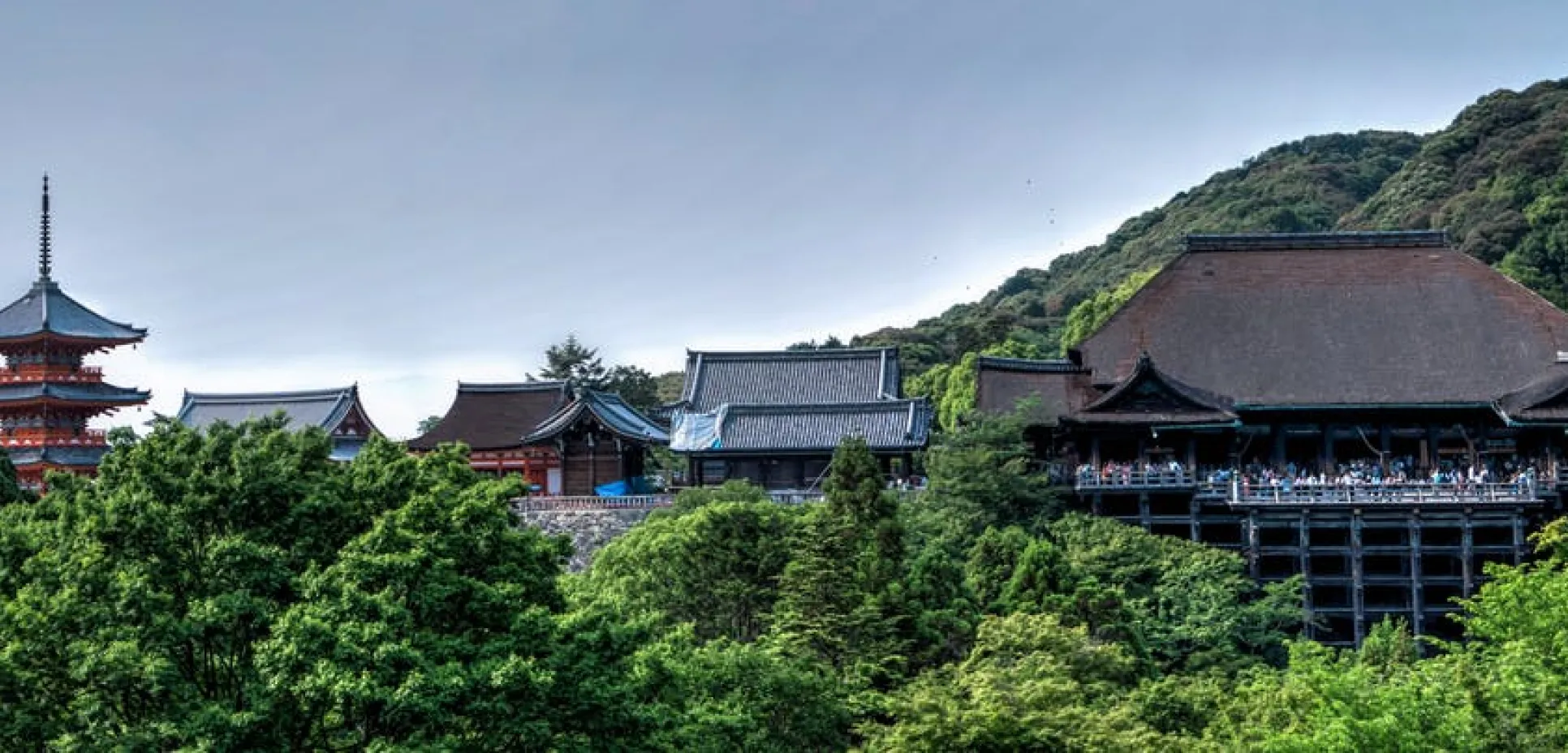 Kiyomizu dera temple kyoto japan 161150