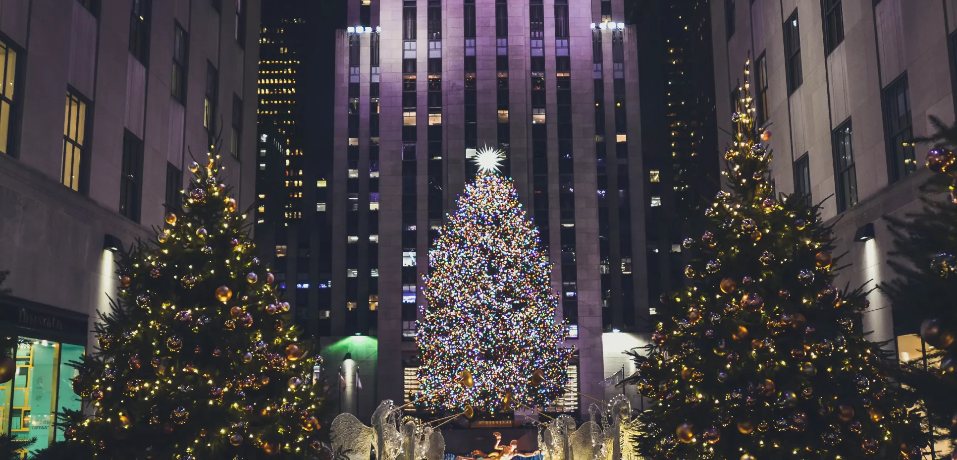 Christmas trees