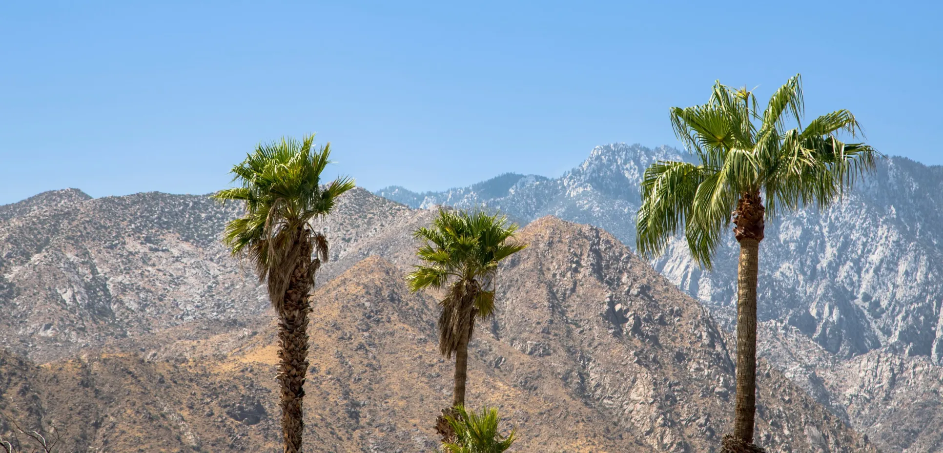 Palm Springs