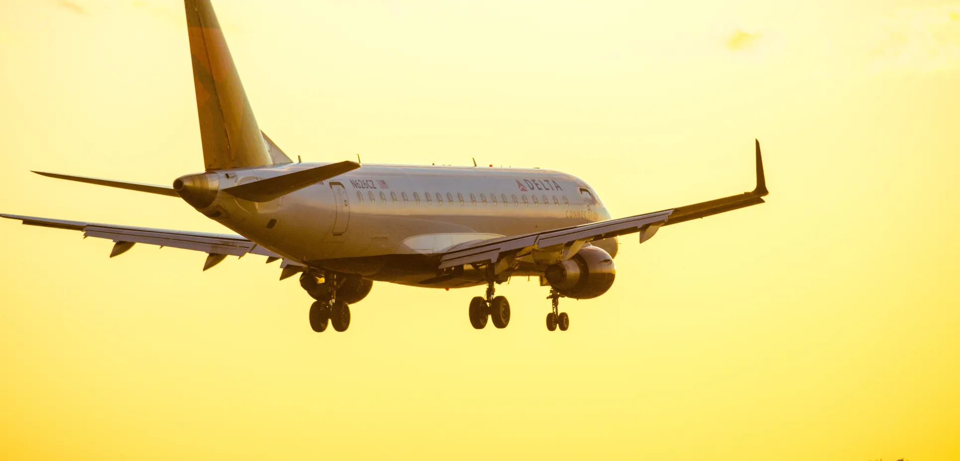 Delta plane