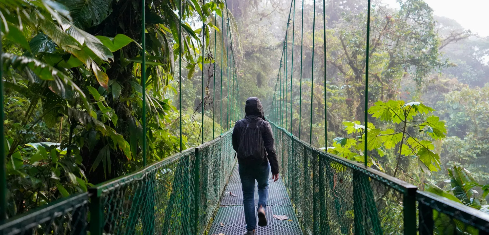 Photo by J. Amill Santiago on Unsplash