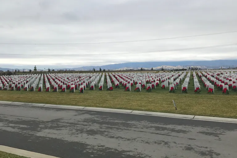 Graves and wreaths