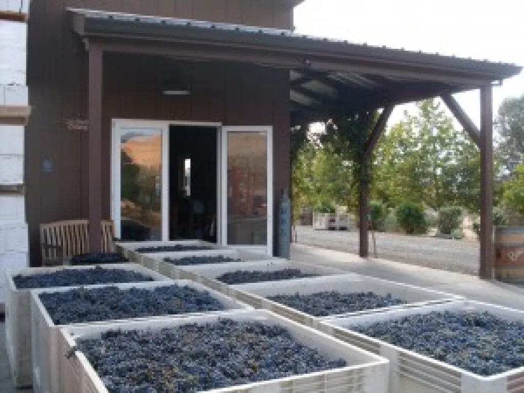 Binsofgrapes