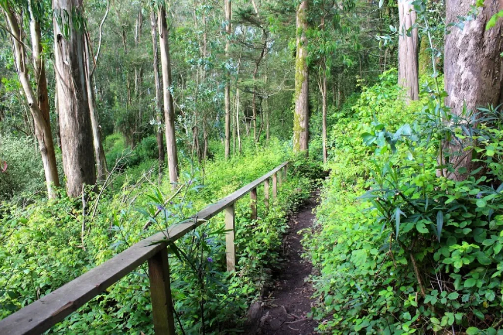 Urban hikes
